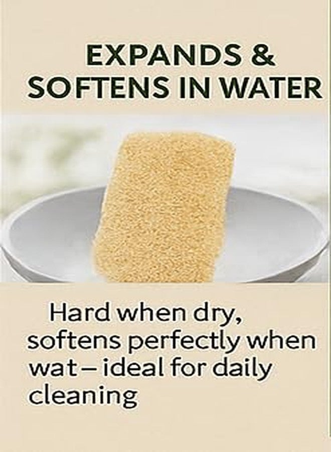 Dinya™ Natural Scrubber for Kitchen (Pack of 5) - 100% Organic, Multi-Use for Dishwashing, Economy Pack for Sparkling Clean Surfaces, Kitchen & Home Cleaning - Eco-Friendly & Biodegradable - Image 5